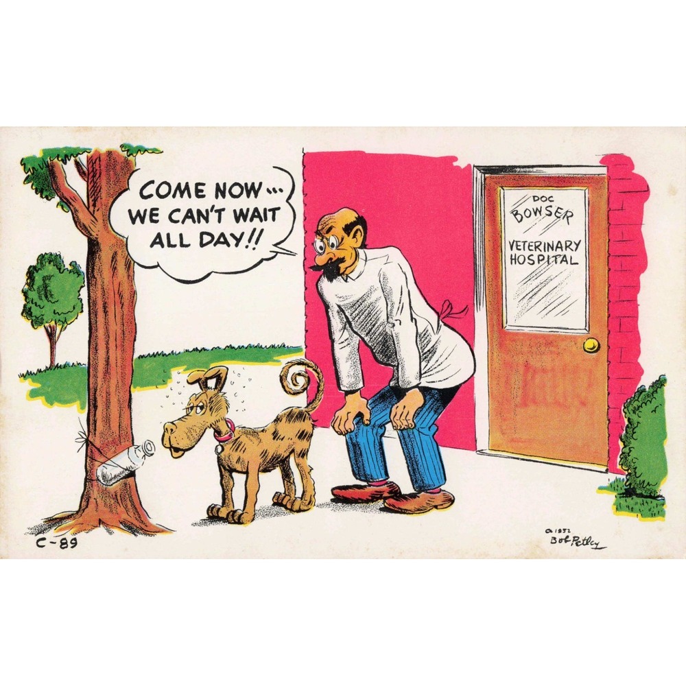 Vintage 1952 Bob Petley Laff Card C-89 Dog Veterinary Hospital Humor Postcard - Picture 1 of 2